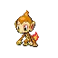 불꽃숭이 Chimchar