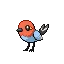 화살꼬빈 Fletchling