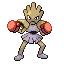 홍수몬 Hitmonchan
