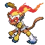 초염몽 Infernape