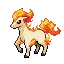 포니타 Ponyta