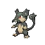 알로라 꼬렛 Alolan Rattata