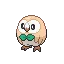 나몰빼미 Rowlet