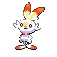 염버니 Scorbunny