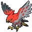파이어로 Talonflame
