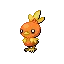 아차모 Torchic