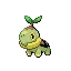 모부기 Turtwig