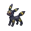 블래키 Umbreon