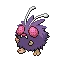 콘팡 Venonat