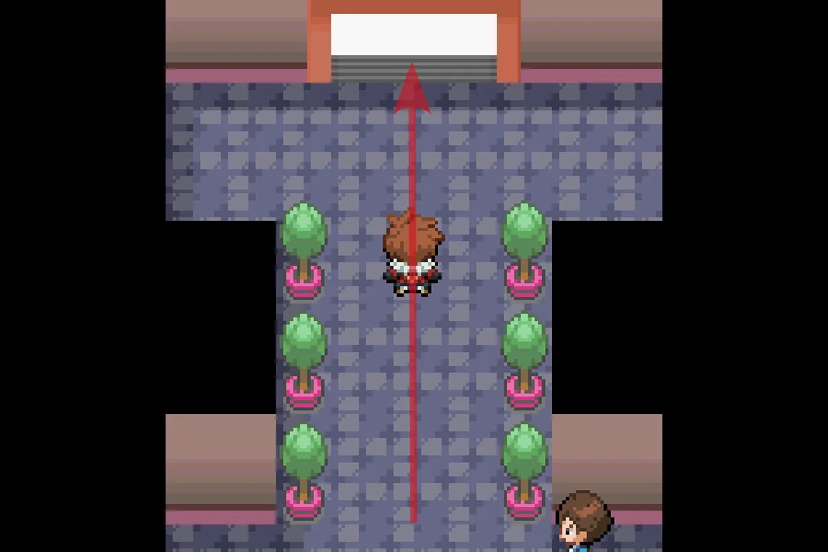 Exiting the connector. / Pokémon Unbound