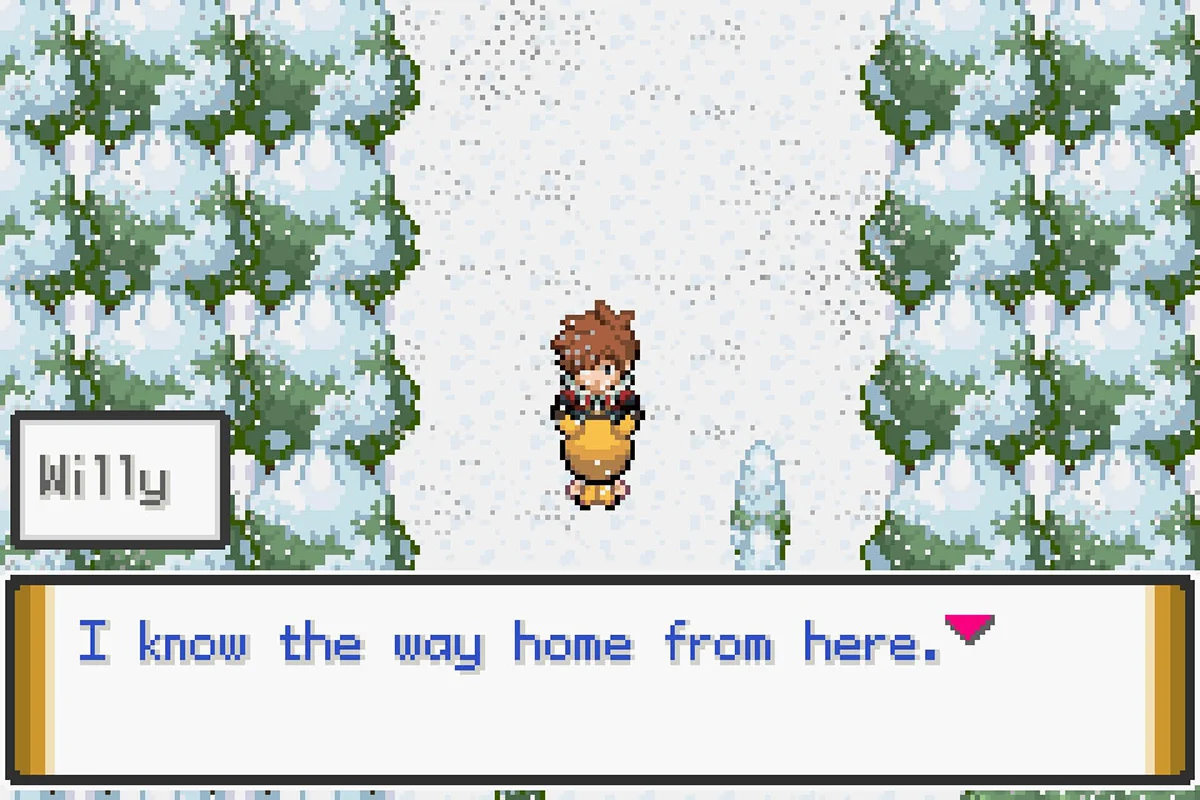 윌리를 눈보라시티로 데려가는 모습. / Pokémon Unbound