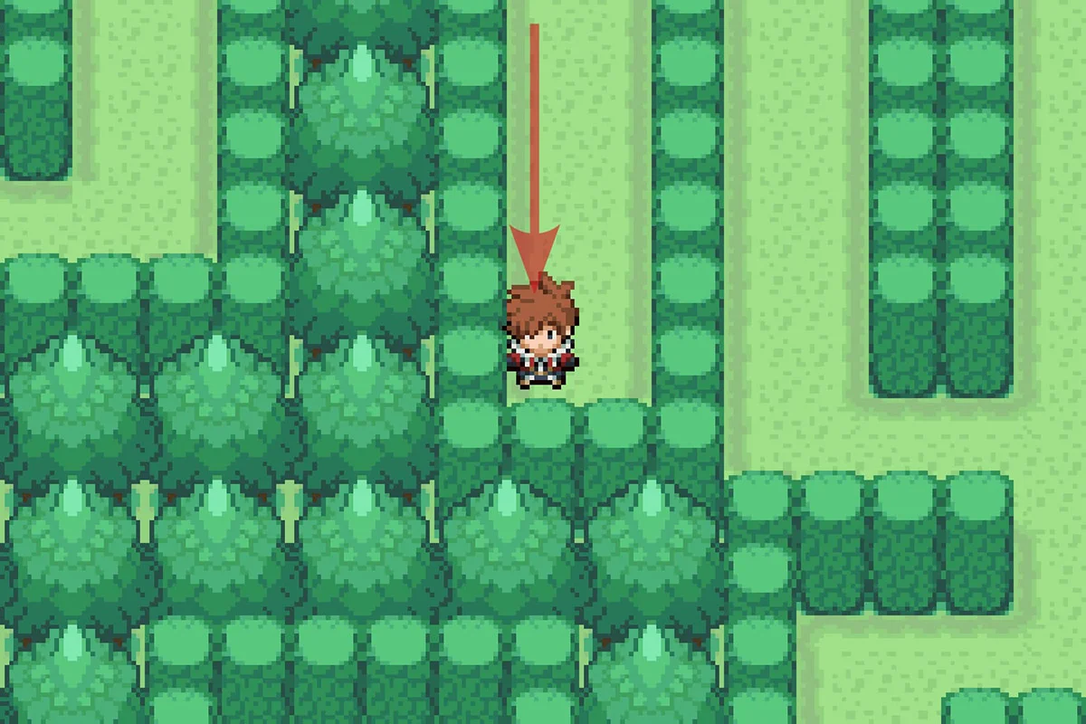 Finding the TM for Focus Punch hidden. / Pokémon Unbound